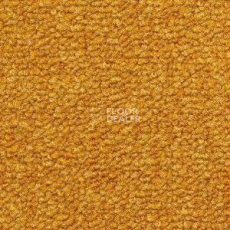 Ковролин Radici Trotter Mostarda 2412 фото 1 | FLOORDEALER